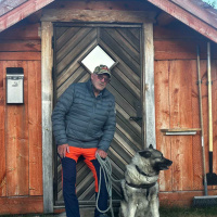 Elg, rein og hunder med Ivar Tørresdal