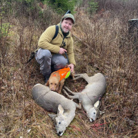 Rådyrjakt og spetsjakt med Stian Berntsen 