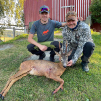 Bukkejakt, Wachtelhund og buejakt med Åge Morten Veimo