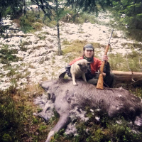 Løshund på hjort og elg med Christoffer Askheim 