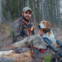 Jakt på rev, ulv, jerv, gaupe og bjørn med Kim Andre Bjørnstad