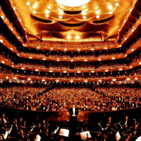 Braavo. Nicolas Horvath