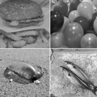 Torsdag 11:00 - Småprat i lunsjen (1/2)