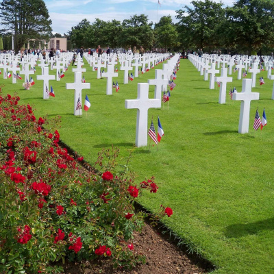 Wild At Heart Norway