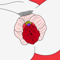 #2 Kontroll over egen orgasme