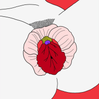 #3 One night stand med Sexpert #1