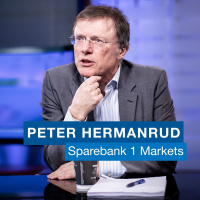 Peter Hermanrud har problemer med å finne billige aksjer