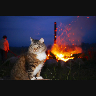 Pieci Rti Piedv - Beidzot!