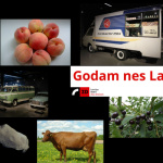 Godam Nes Latvijas Vrdu