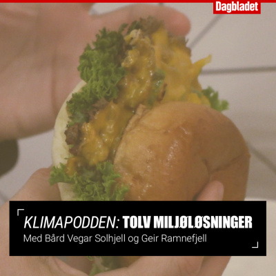 Klimapodden: Tolv Miljøløsninger