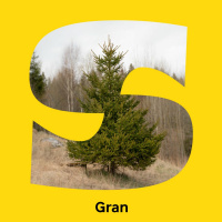 Spis eller bli spist - Gran Podcast