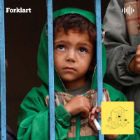 Kan Israel og Hamas bli enige om en våpenhvile?