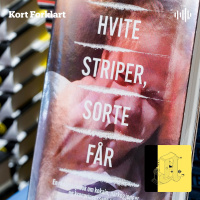 Kort Forklart: Høiby-boken og lydopptaket alle snakker om