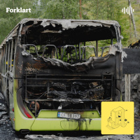 Bussbrannen i Nordre Follo - kunne man grepet inn tidligere?