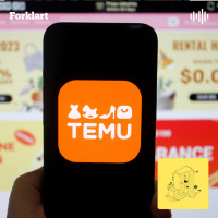 Temu er superbillig. Men bør du handle der?