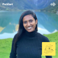 Rahavy (30) fikk ikke voldsalarm. Så ble hun drept.