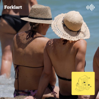 Vil ikke Syden ha oss lenger?