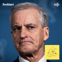 Snart må du velge: Norgespris eller ikke?