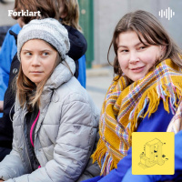 Fosen-konflikten: Naturvern vs. klima