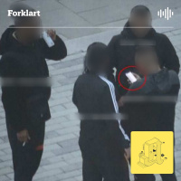 Gjengflørten som inflitrerte svensk domstol