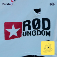 Revolusjon i Rød Ungdom? Derfor ble det bråk