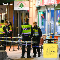 Ni skyteepisoder i Oslo siste halvår. Hva er det som skjer?