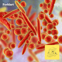 Er vi sykere enn før?