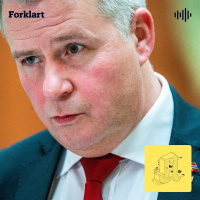 Per Willy Amundsen: Skader bråket Frp?