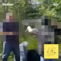 «Pedojakt» og borgervern