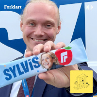 Hemmelige givere: Hvem sponser valgkampen?