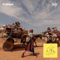 Ti glemte kriser i verden. Hvorfor hører vi ikke mer om dem?