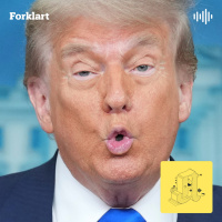 Big, Beautiful Beef: Trump-seier provoserer Musk