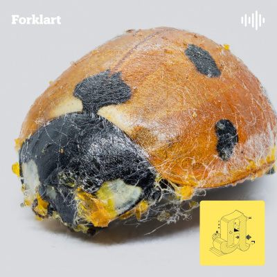Forklart