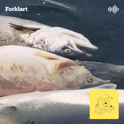 Forklart