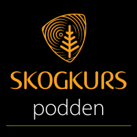 Skogsbilveien i møte med skogsmaskinen 