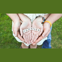 Konsekvenser og veien videre (2/2)