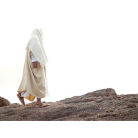 Den oppstandne Jesus som frelser