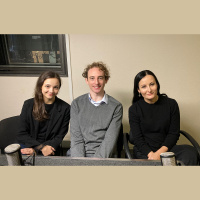 Parodija un mākslas kritika baletā „Koncerts (jeb Briesmas ikvienam). Kaktusi