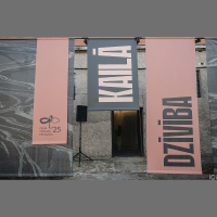 Cēsu mākslas festivāla izstāde Kailā dzīvība pievēršas cilvēka dzīvības trauslumam