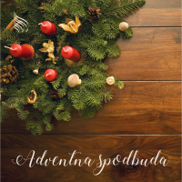 Adventna spodbuda 25. december 2020