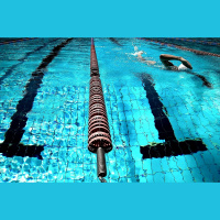 Pilnā versija: diskusija par kabinetu cīņām peldēšanas federācijā