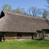 Vanasõnad. Kes ees, see mees. Piret Voolaid