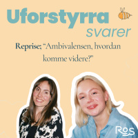 Reprise Ambivalens, hvordan komme videre? 