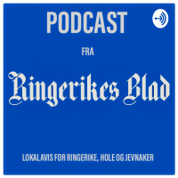 Folkemøte om byutvikling i Hønefoss 29.02.2019 (del tre av tre)