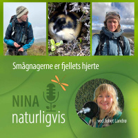 Smågnagerne er fjellets hjerte