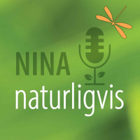 Ti millioner blinkskudd fra naturen 
