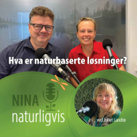 Naturbaserte løsninger, no-brainer eller politisk hodepine?
