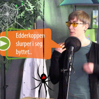 Hvorfor pynter vi med edderkopper til halloween?