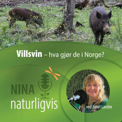 Naturligvis
