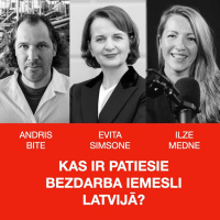 KAS IR PATIESIE BEZDARBA IEMESLI LATVIJĀ?